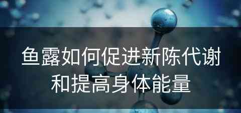 鱼露如何促进新陈代谢和提高身体能量